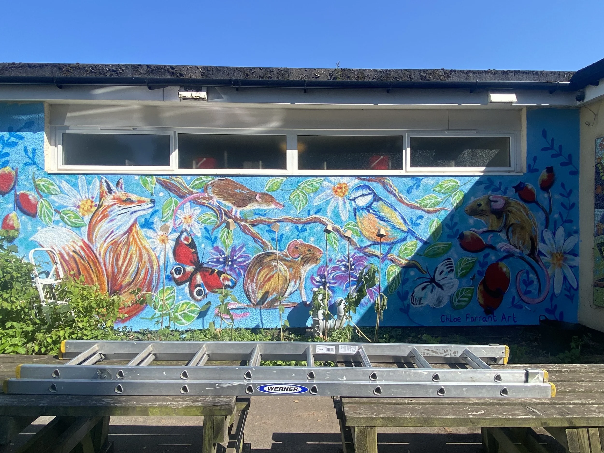 St. Leonards Primary School, Exeter, 2025