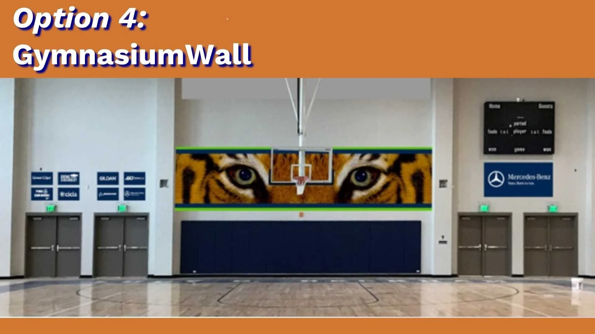 Option 4: Gymnasium Wall