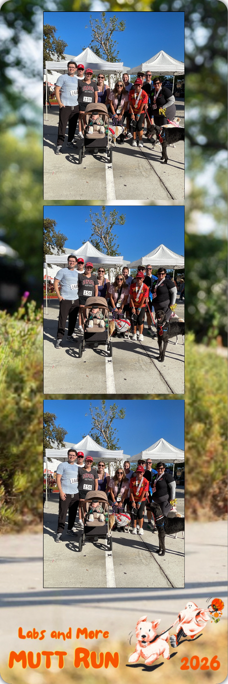 639284318057051040.png