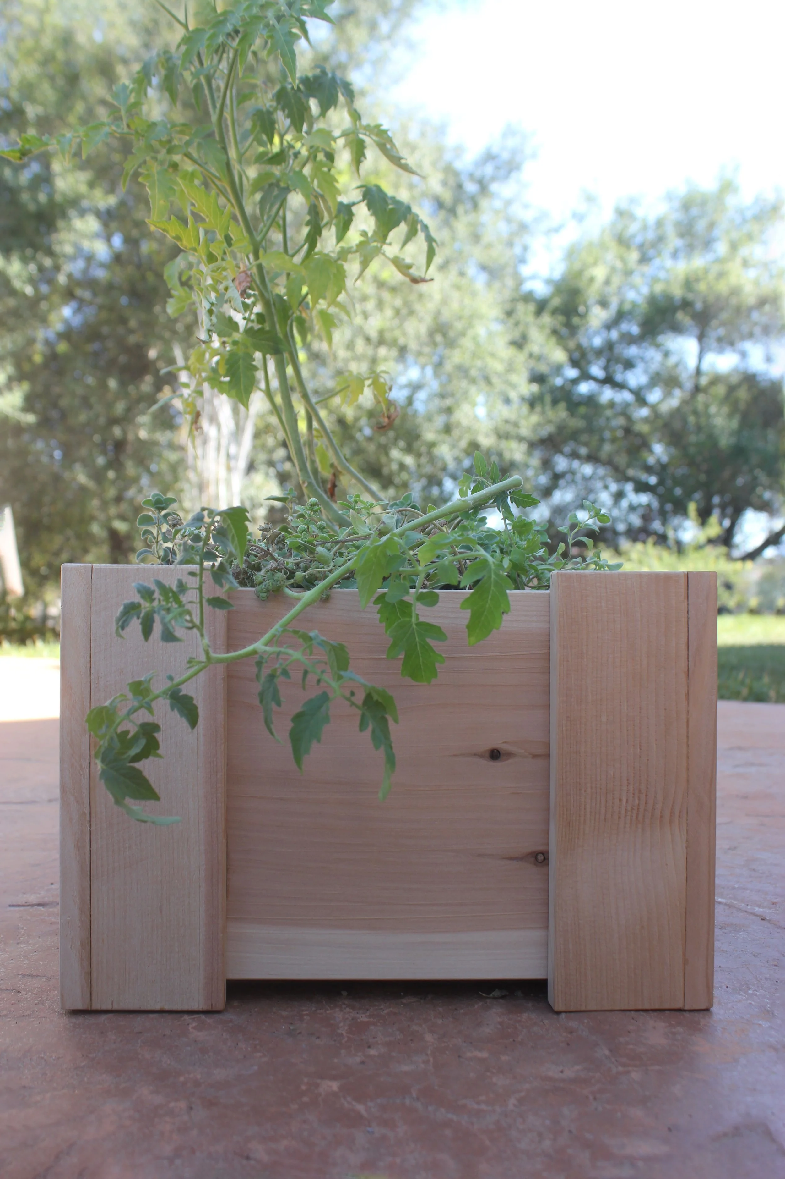 Scenic view of a cedar mini planter box containing vegetable plants against a patio background.