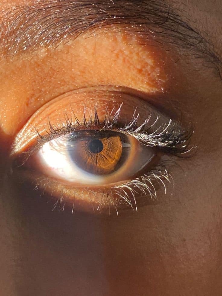 lash serem 5.jpg