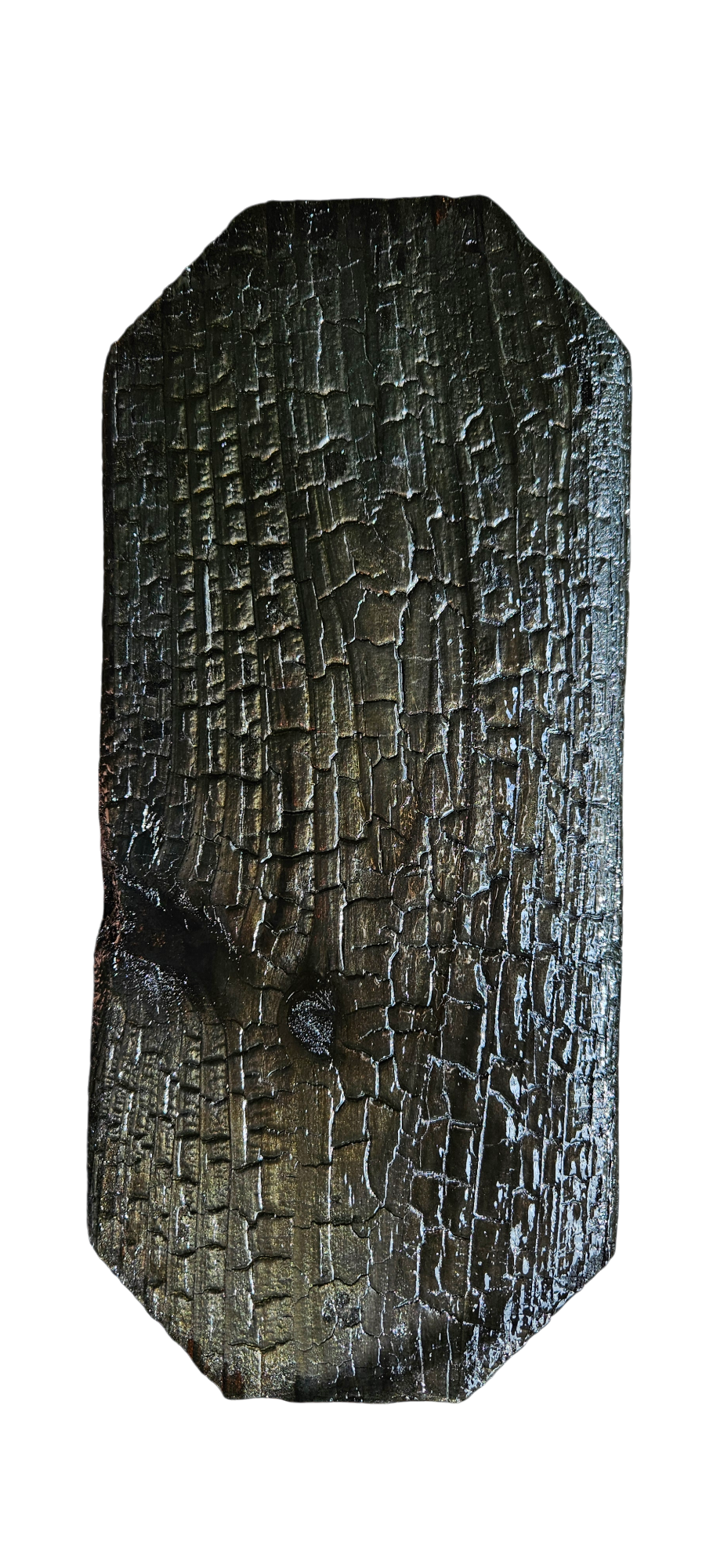 Close-up of a charred piece of wood with cracked black surface.