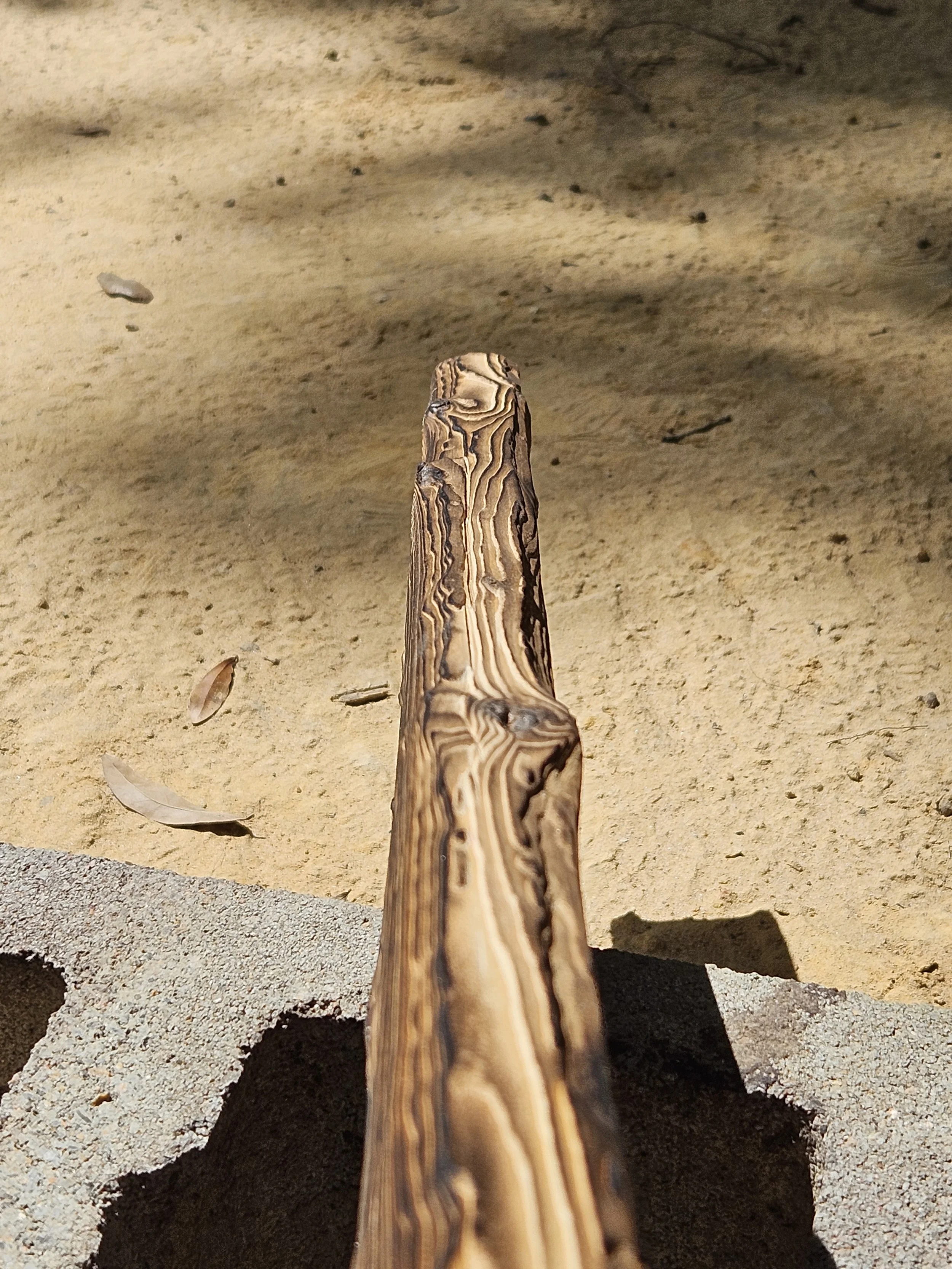 A narrow pathway with sand and dry leaves, marked by a wooden bean pole with swirled brown and beige wood grain patterns in a sandy outdoor area.