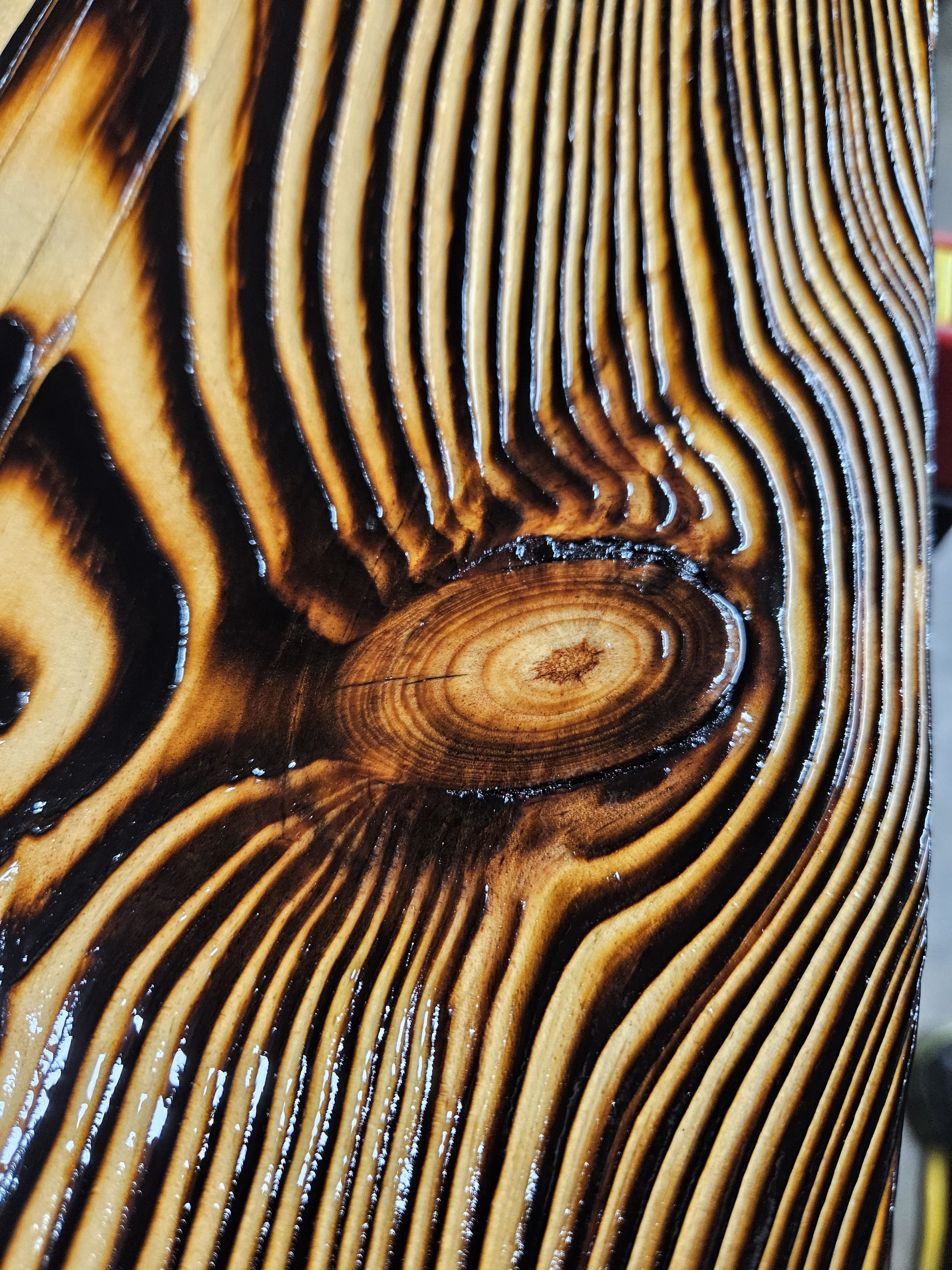Close-up of end grain wood showing growth rings and dark resin lines.