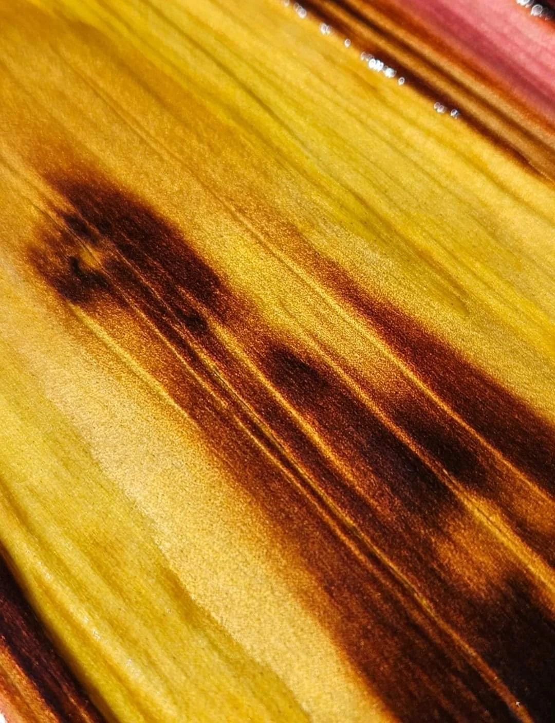 A close-up of a wooden surface showing natural grain patterns with shades of yellow, brown, and reddish hues.