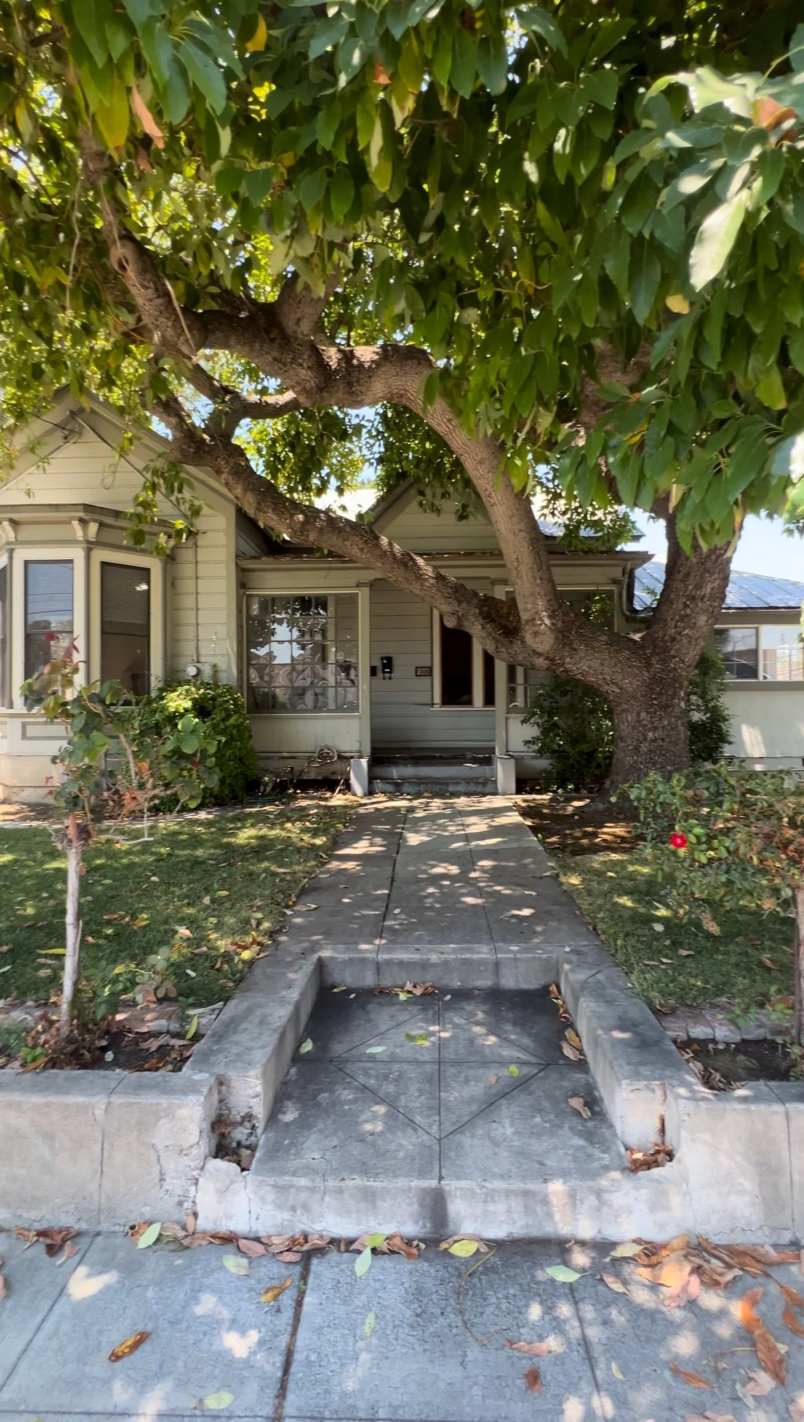 1365 Bellomy Street