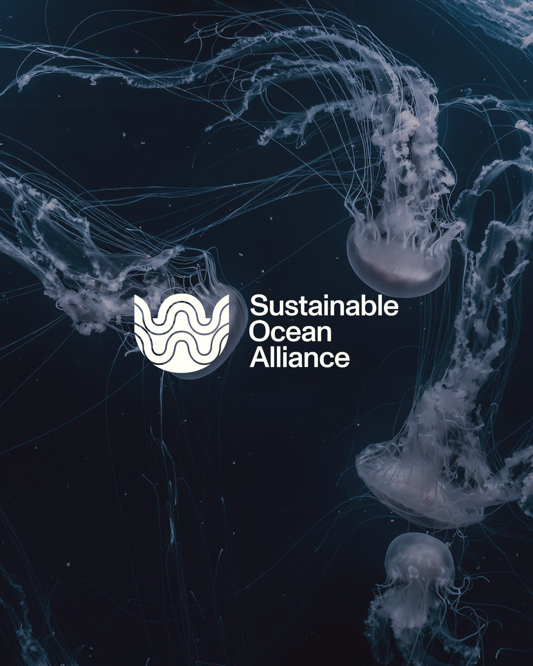 Sustainable Ocean Alliance