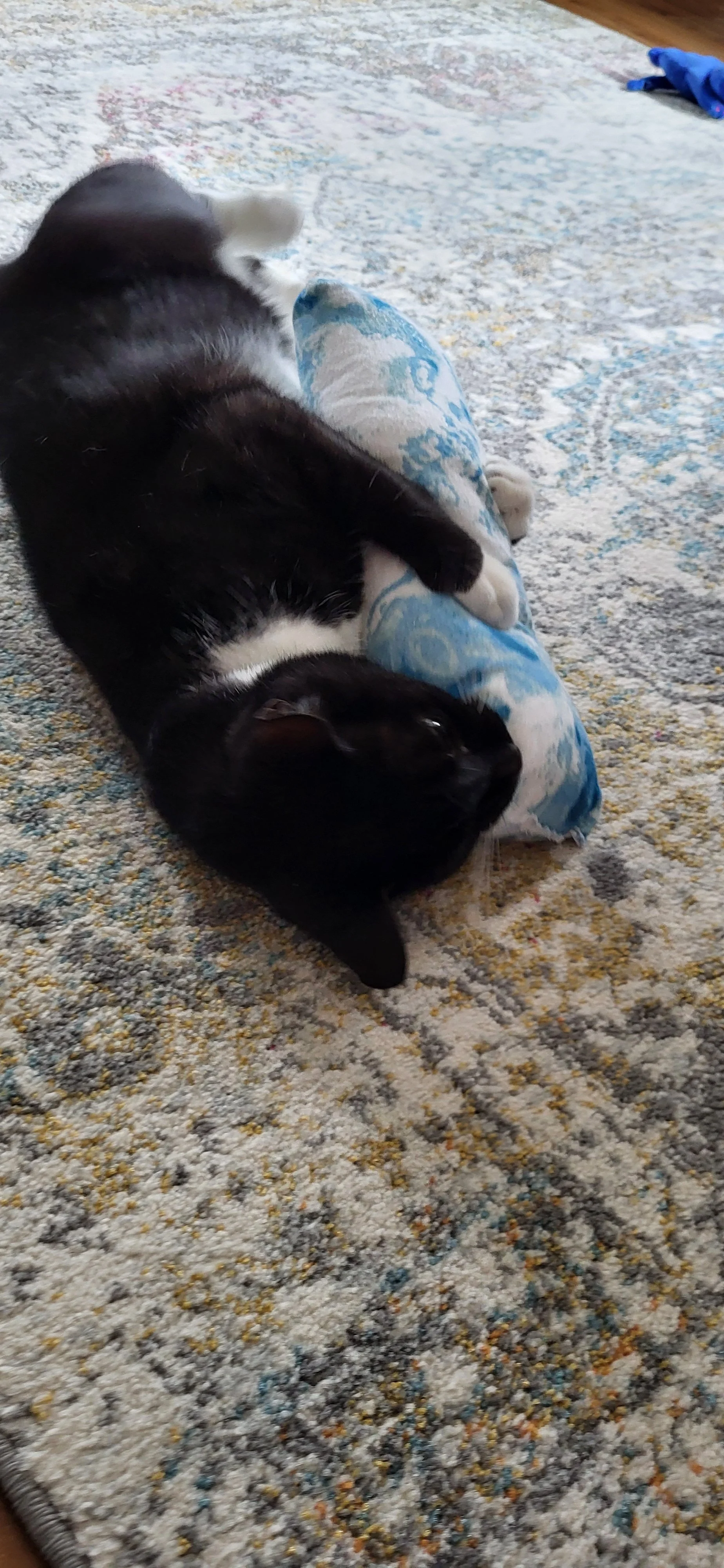 Enjoying his new favorite toy