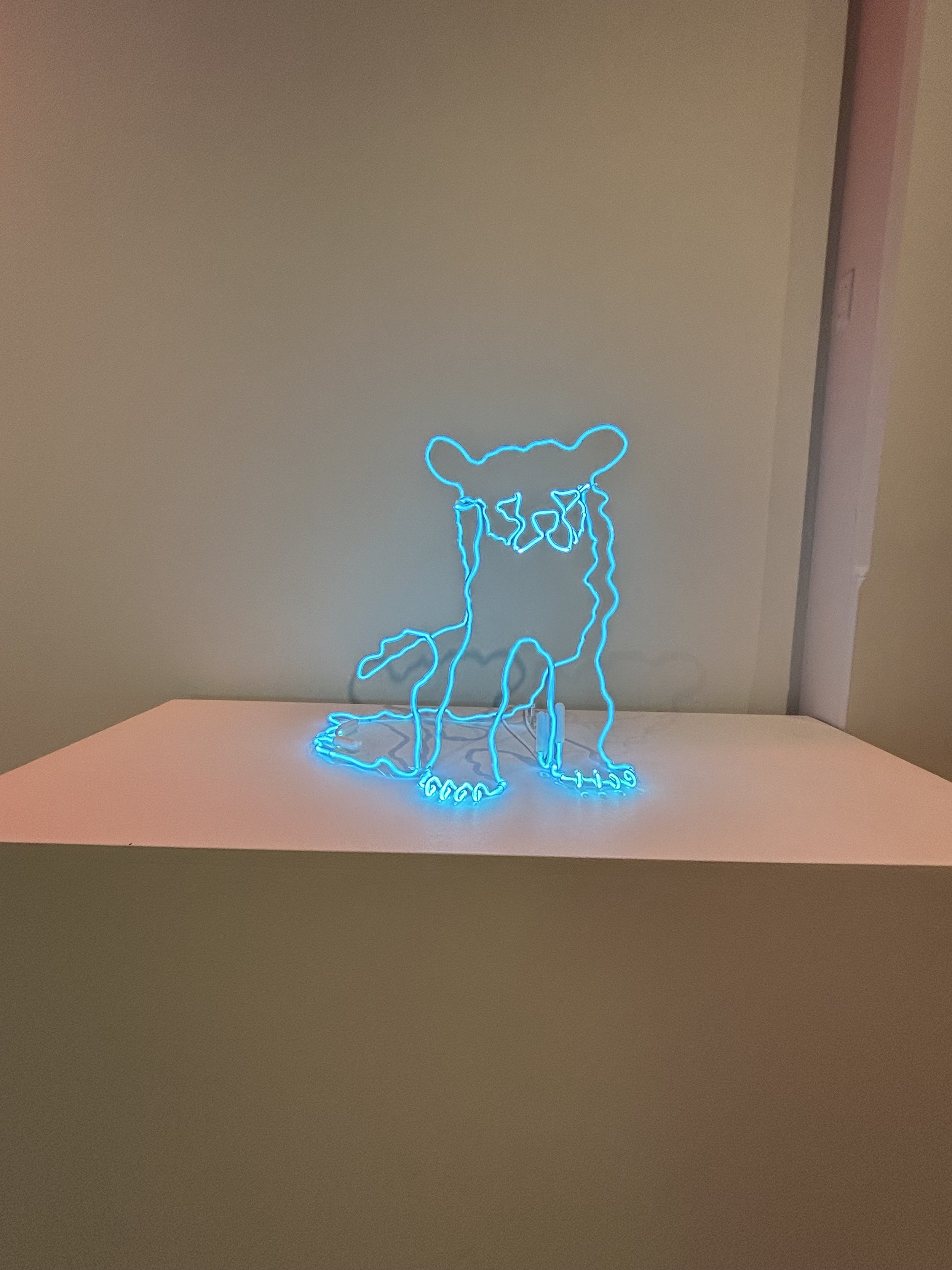 IMG_6166.jpeg