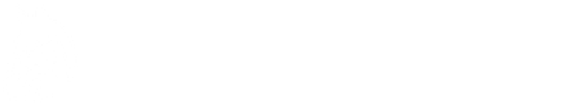 LightHorse Design