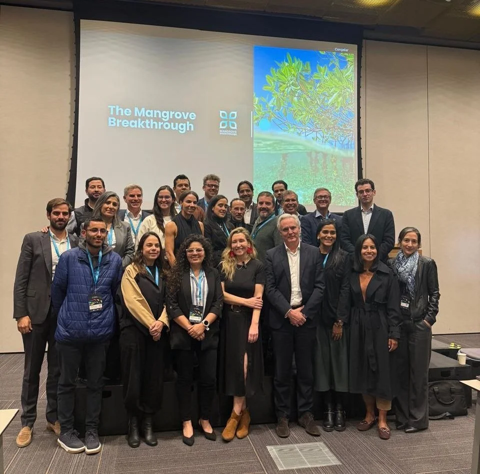 Press Release: The Mangrove Breakthrough Investor Roadshow Comes to Bogota