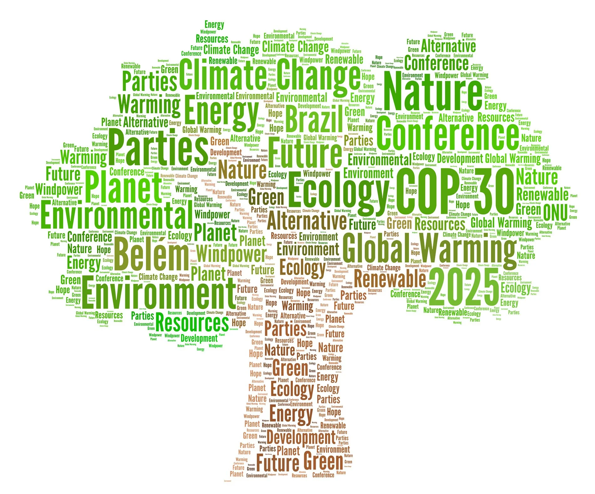 The call from the Amazon: Action and capital in Belem COP30