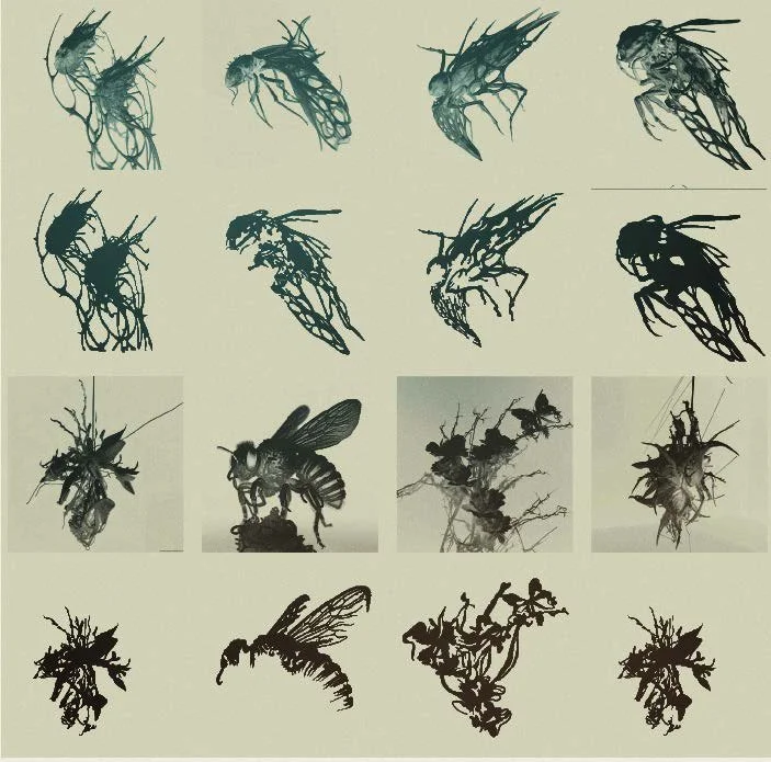 insect-alphas.jpg