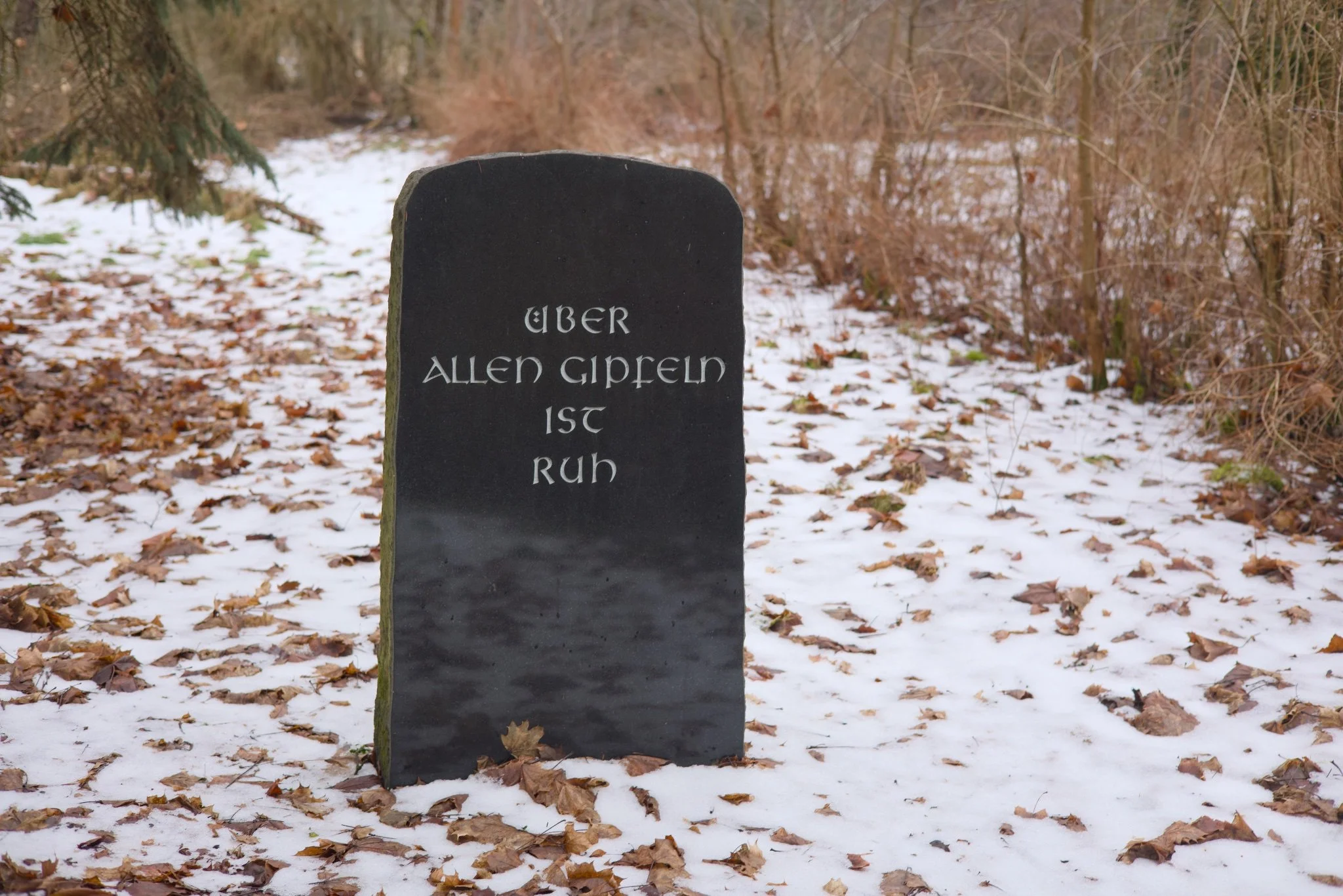 Pflegeheim Saalow Abandoned Berlin _X8A7853.jpg