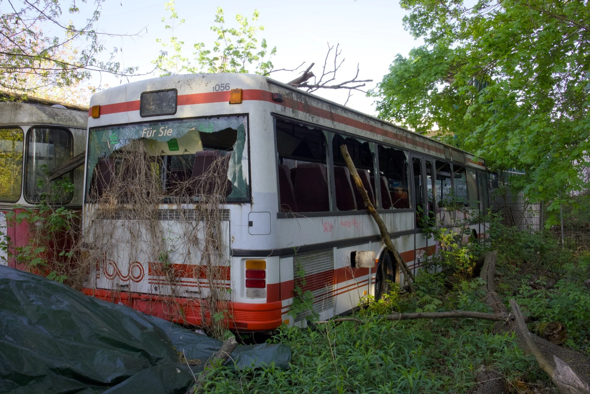 Queen Curry Graveyard Bus Abandoned Berlin_X8A8632.jpg
