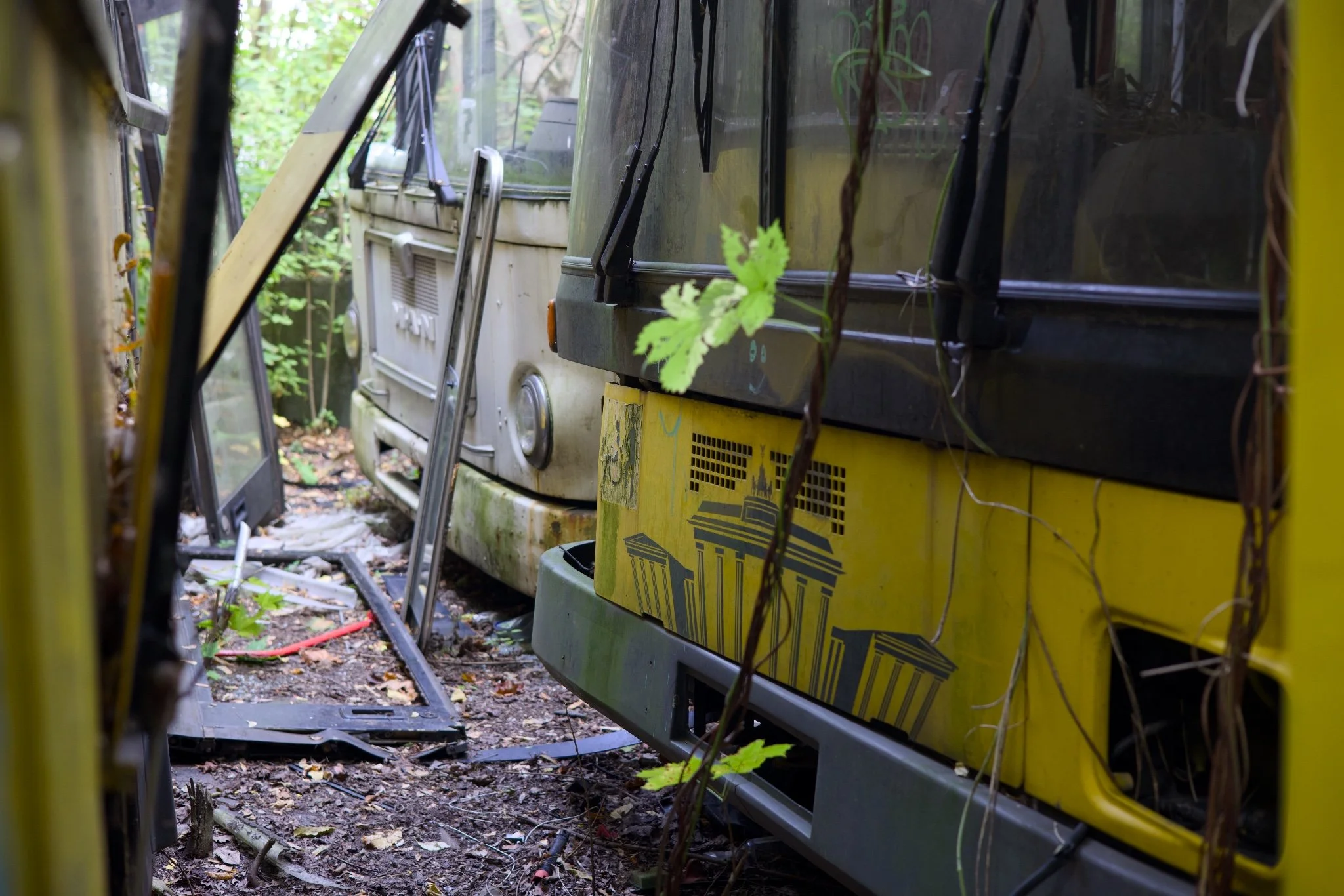 Queen Curry Graveyard Bus Abandoned Berlin_X8A9725.jpg