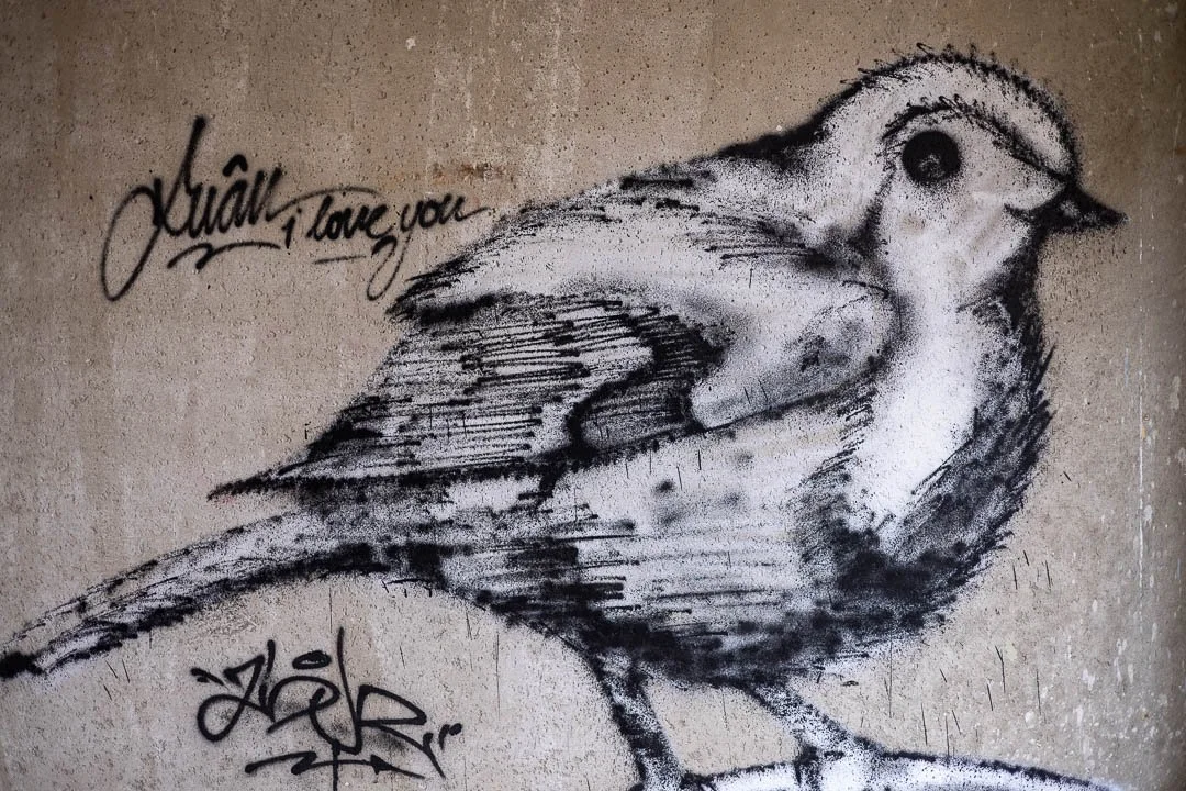 Hohenschoenhausen refugee homes Abandoned Berlin 2023-1974.jpg