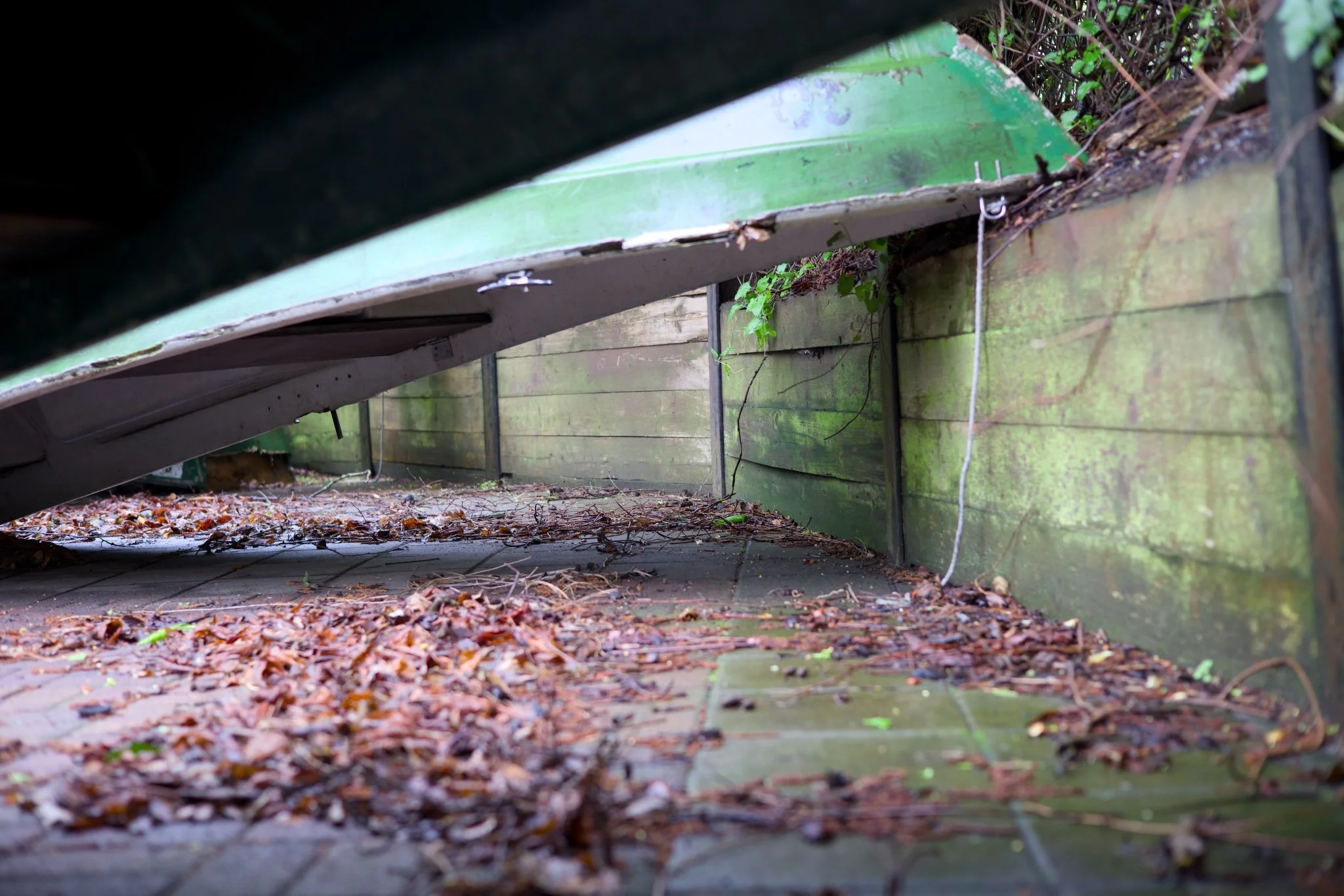 Abandoned Berlin Fischerpinte boathouse_X8A8401.jpg