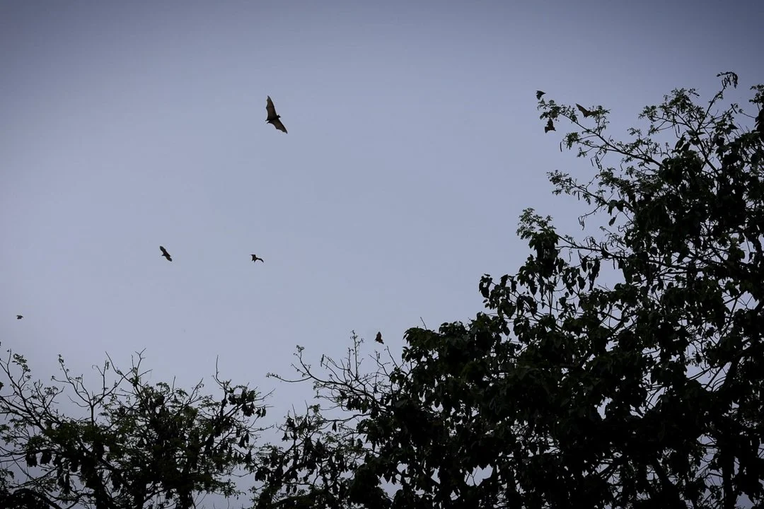 Abandoned Abidjan La Pyramide-023.jpg