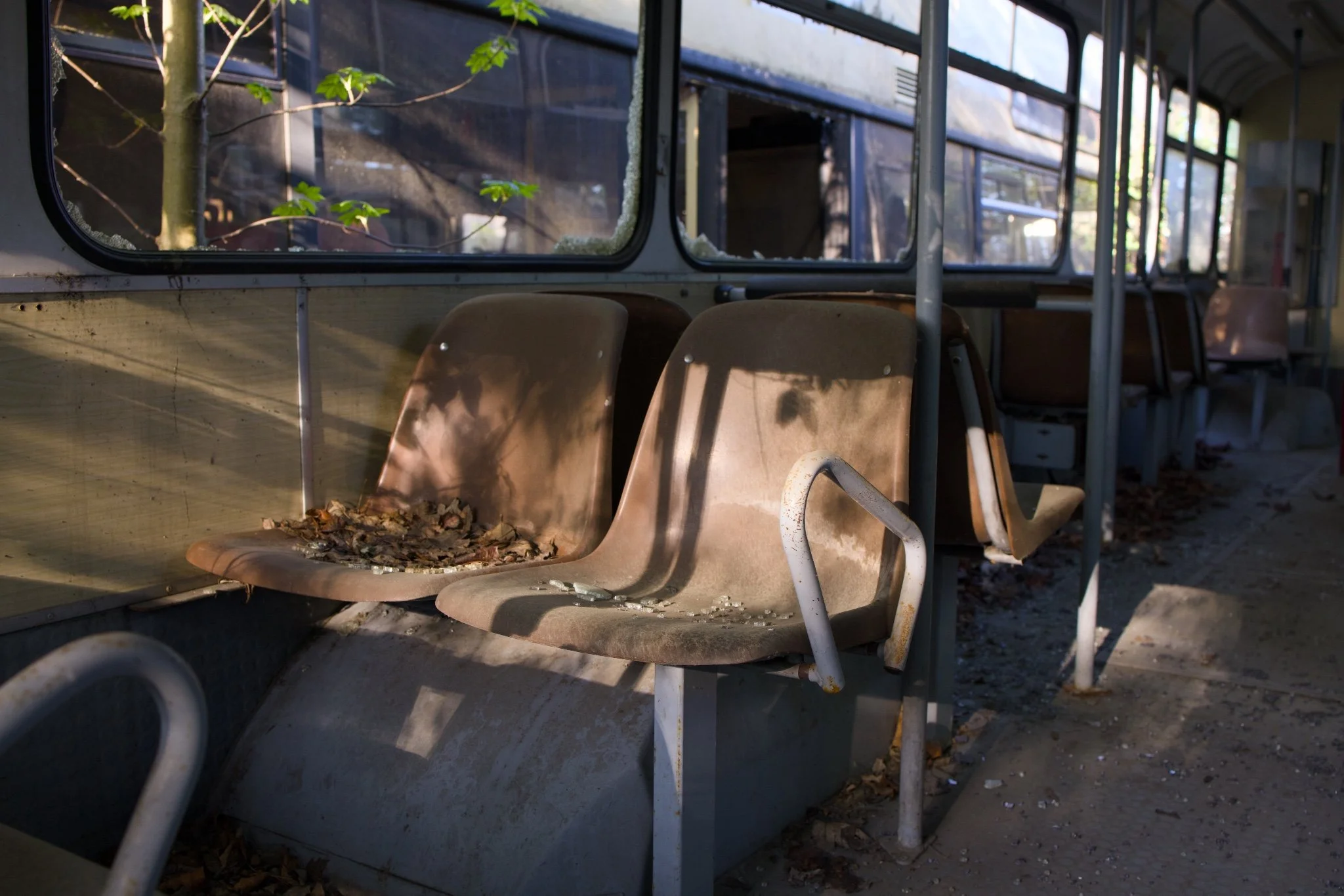 Queen Curry Graveyard Bus Abandoned Berlin_X8A8649.jpg