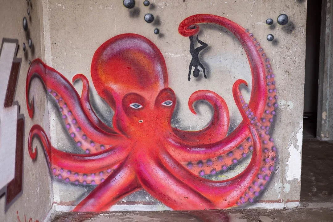 Hohenschoenhausen refugee homes Abandoned Berlin 2023-1975.jpg