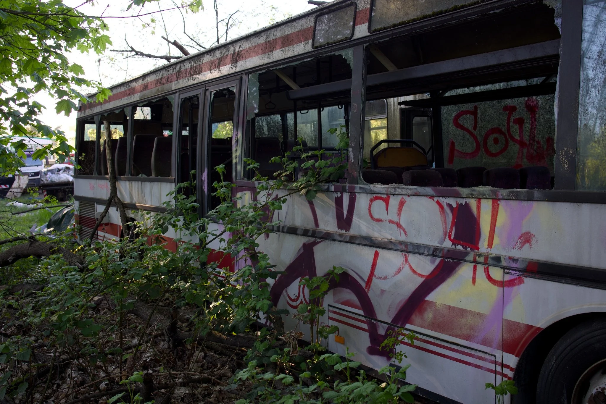 Queen Curry Graveyard Bus Abandoned Berlin_X8A8637.jpg