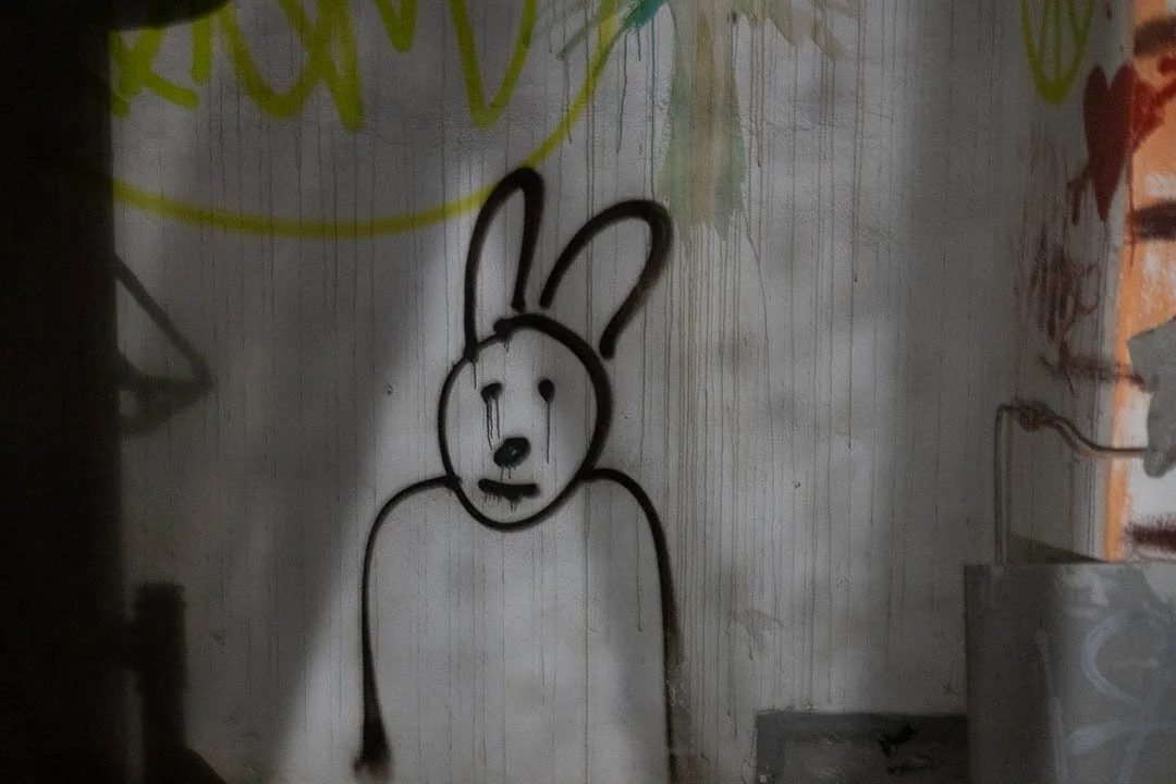 Iraqi embassy East Germany Abandoned Berlin 2023-4138.jpg