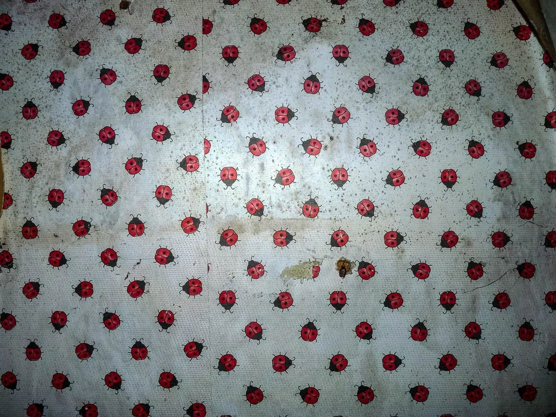 Heilstaette Grabowsee sanatorium Abandoned Berlin-1180014.jpg