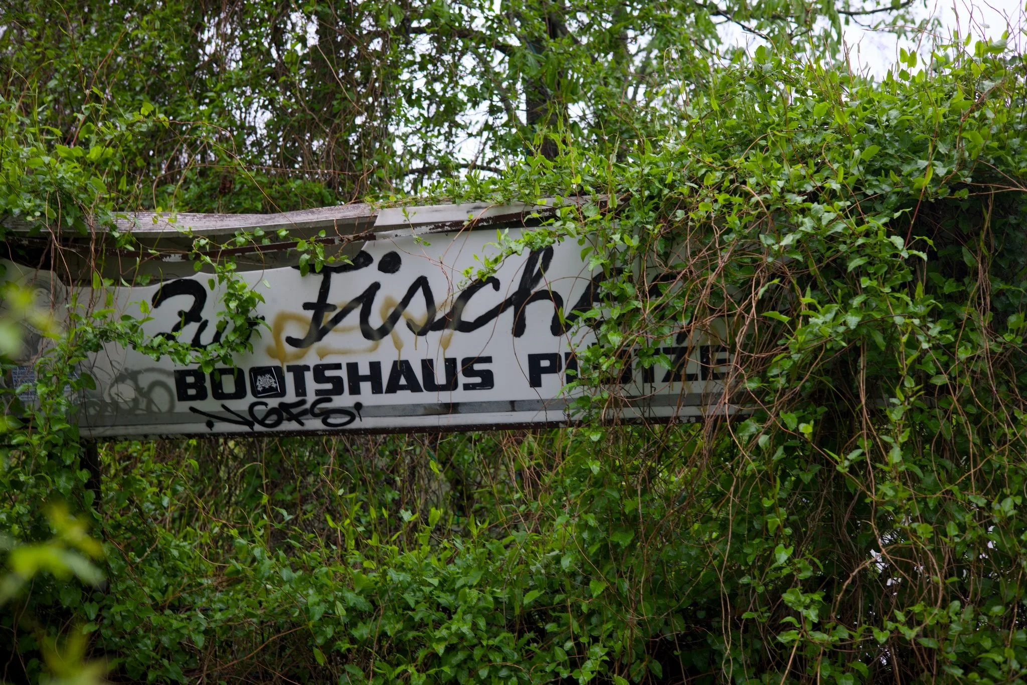 Abandoned Berlin Fischerpinte boathouse_X8A8318.jpg