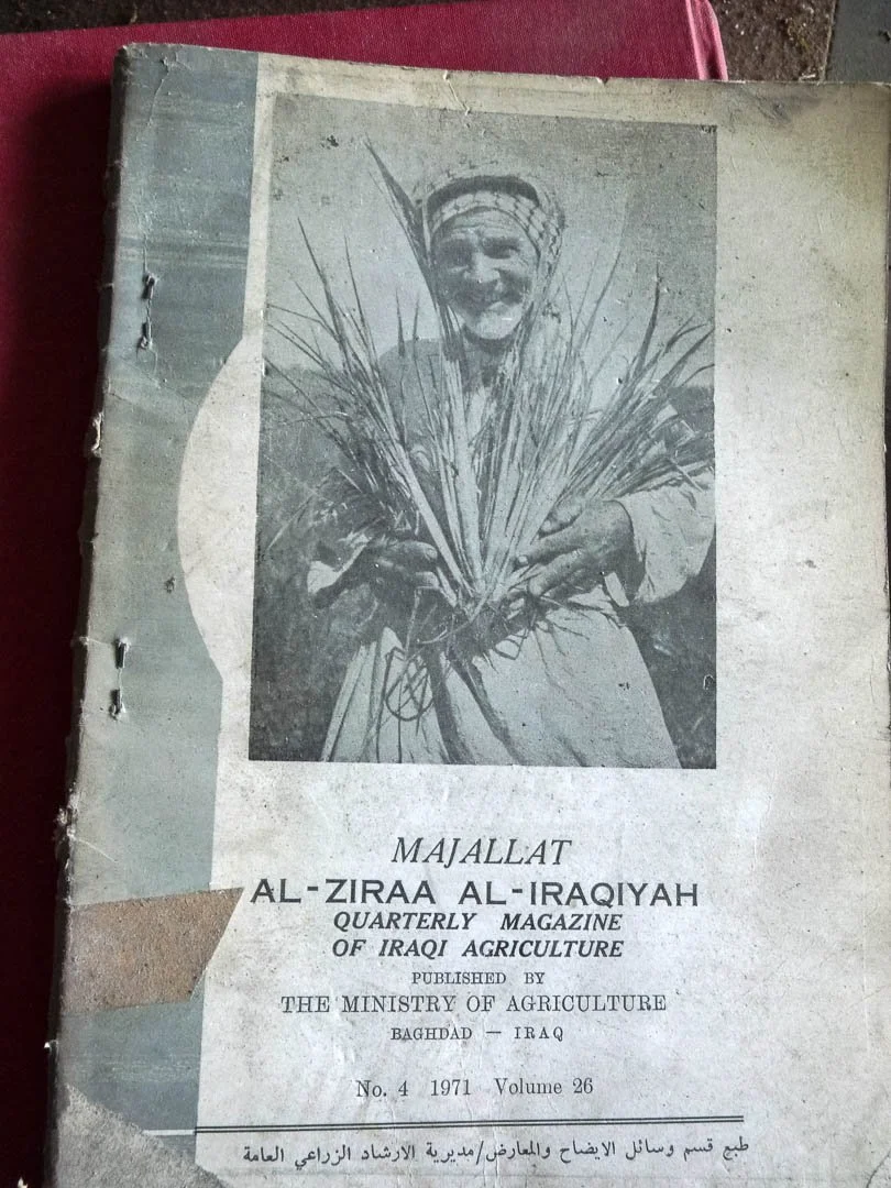 Abandoned Iraqi embassy East Berlin-1100749.jpg