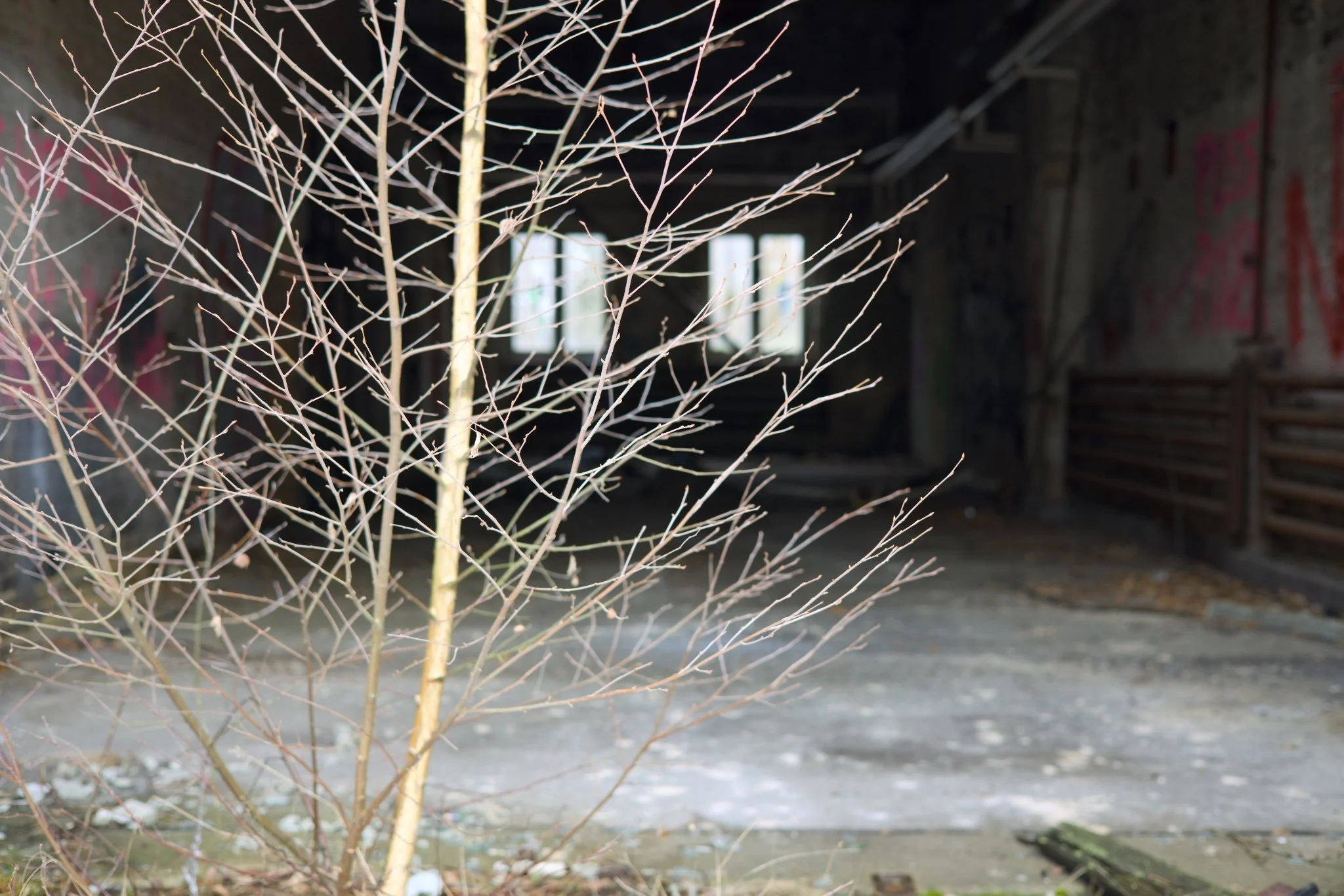 Pflegeheim Saalow Abandoned Berlin _X8A7863.jpg