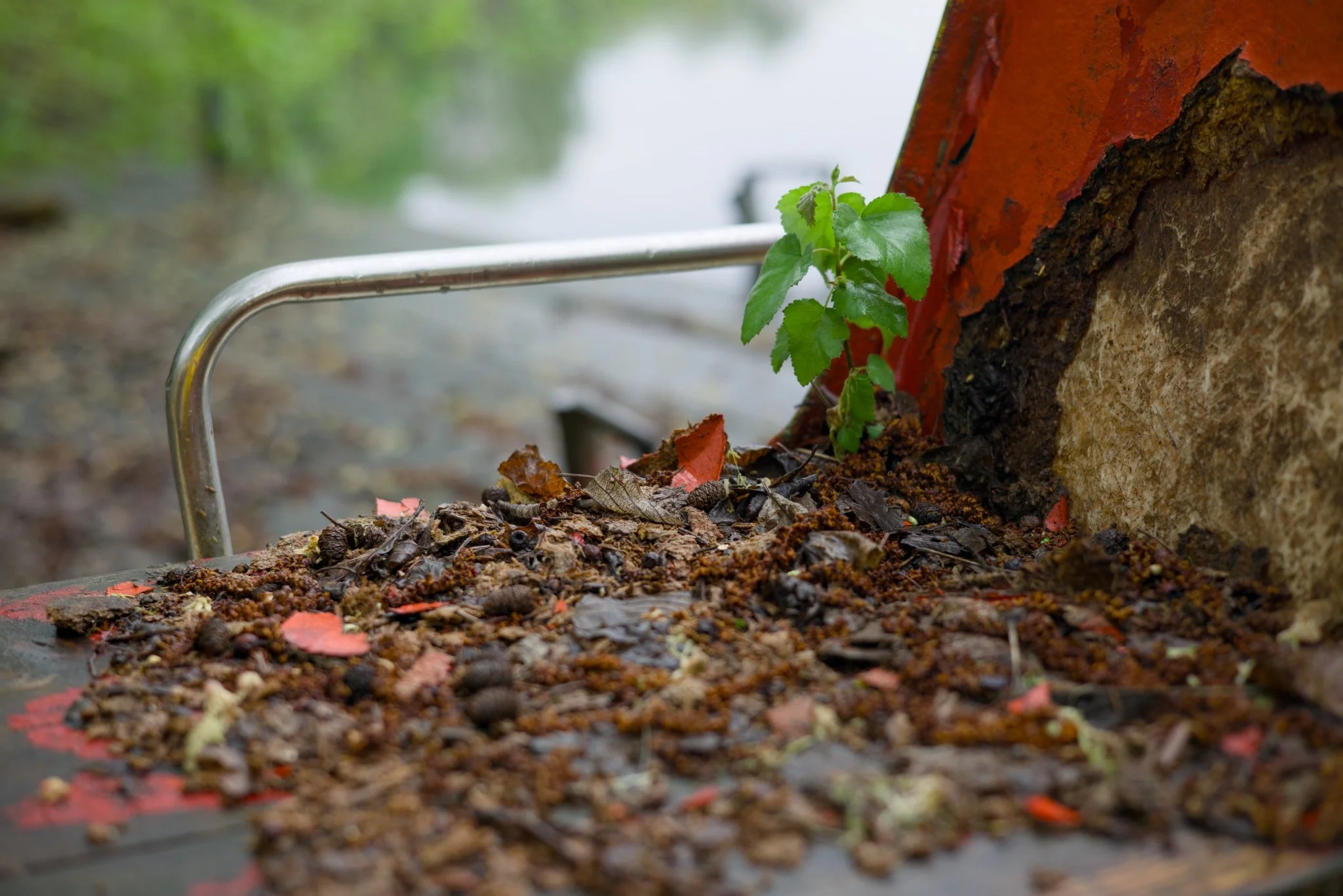 Abandoned Berlin Fischerpinte boathouse_X8A8369.jpg