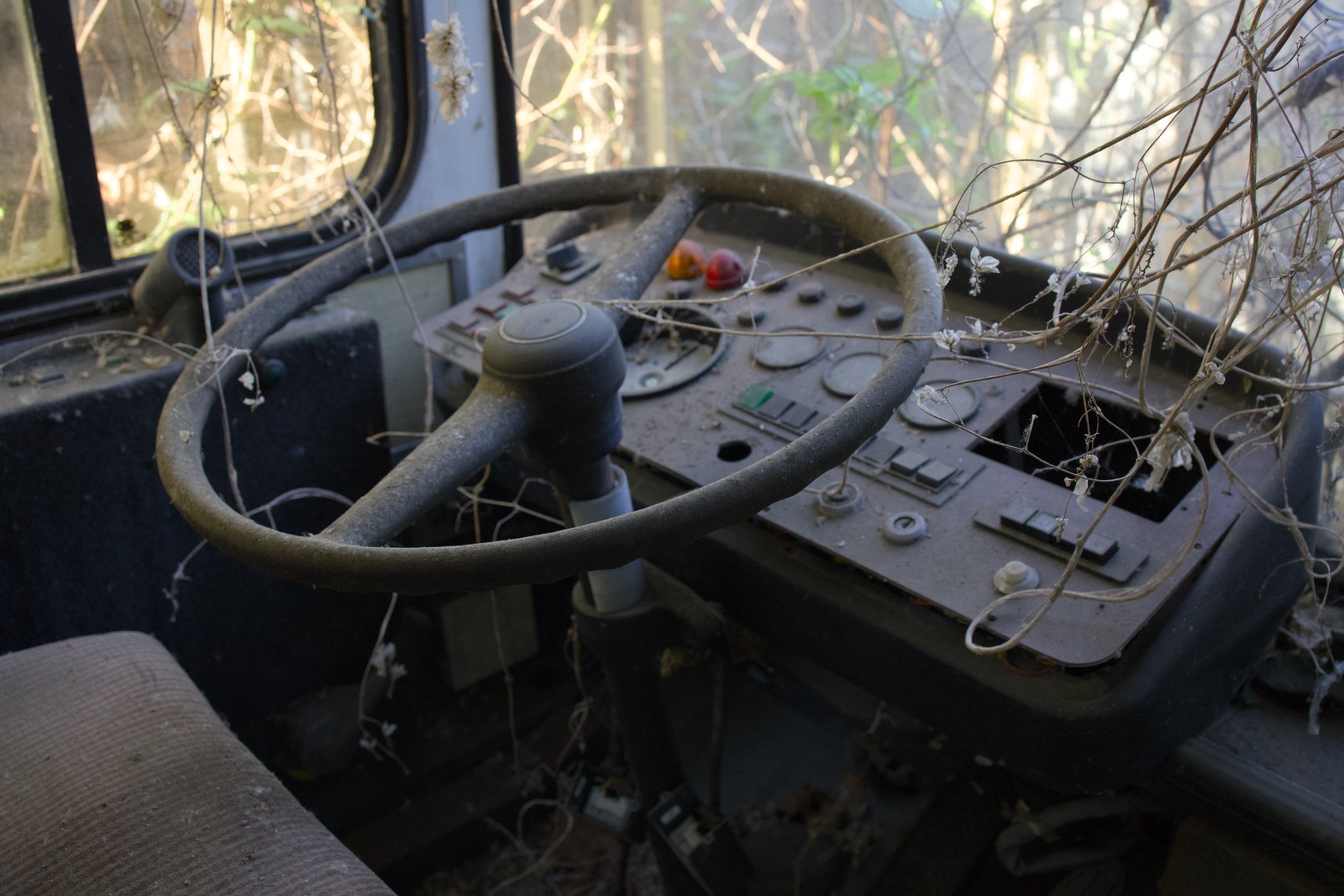 Queen Curry Graveyard Bus Abandoned Berlin_X8A8651.jpg