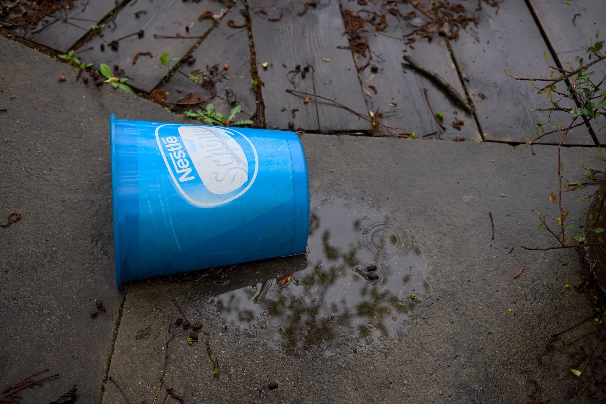 Abandoned Berlin Fischerpinte boathouse_X8A8385.jpg