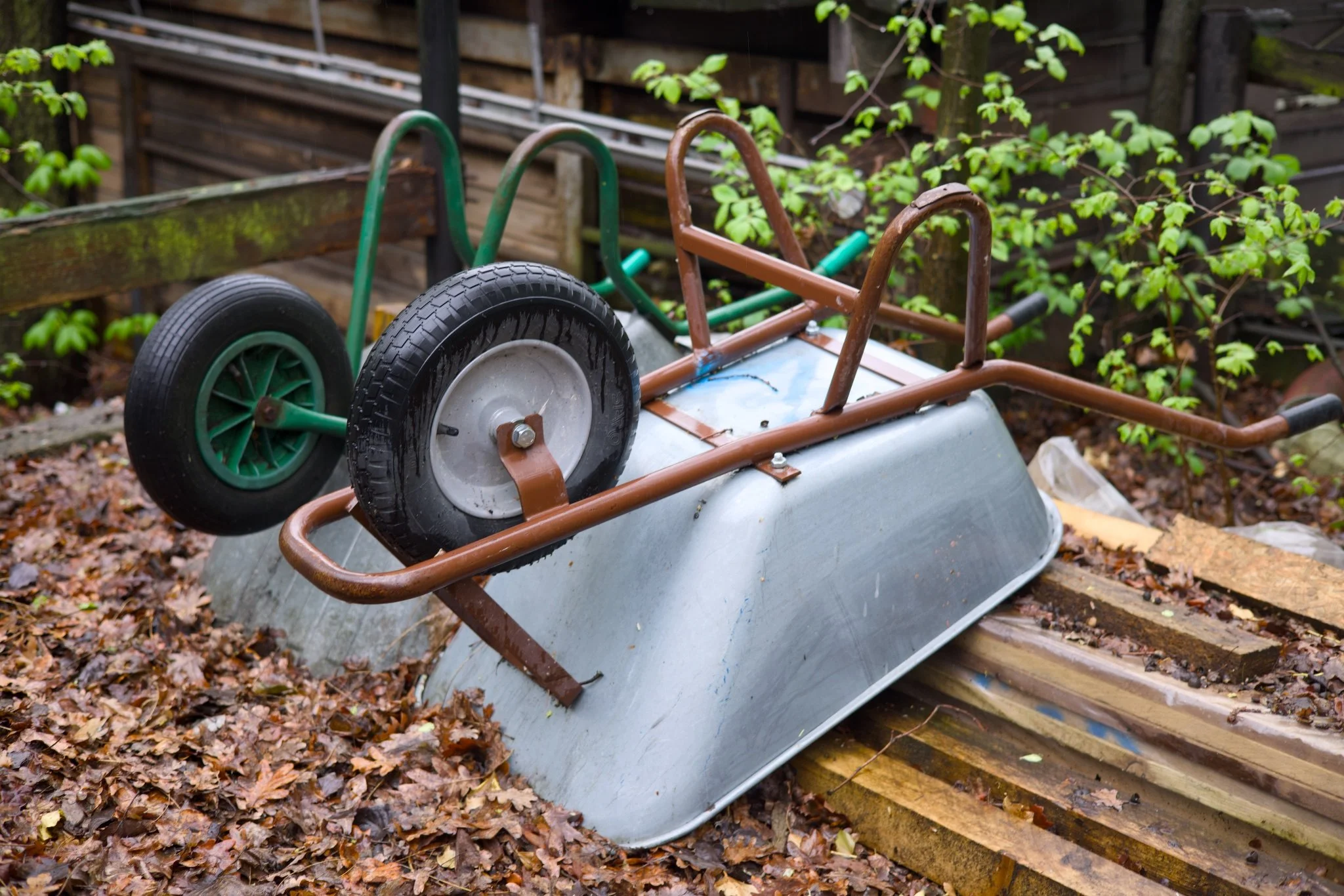 Abandoned Berlin Fischerpinte boathouse_X8A8420.jpg
