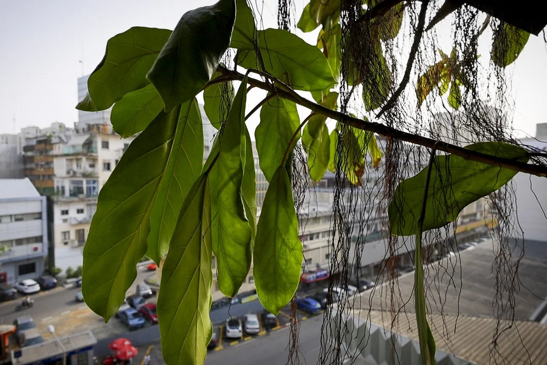 Abandoned Abidjan La Pyramide-015.jpg
