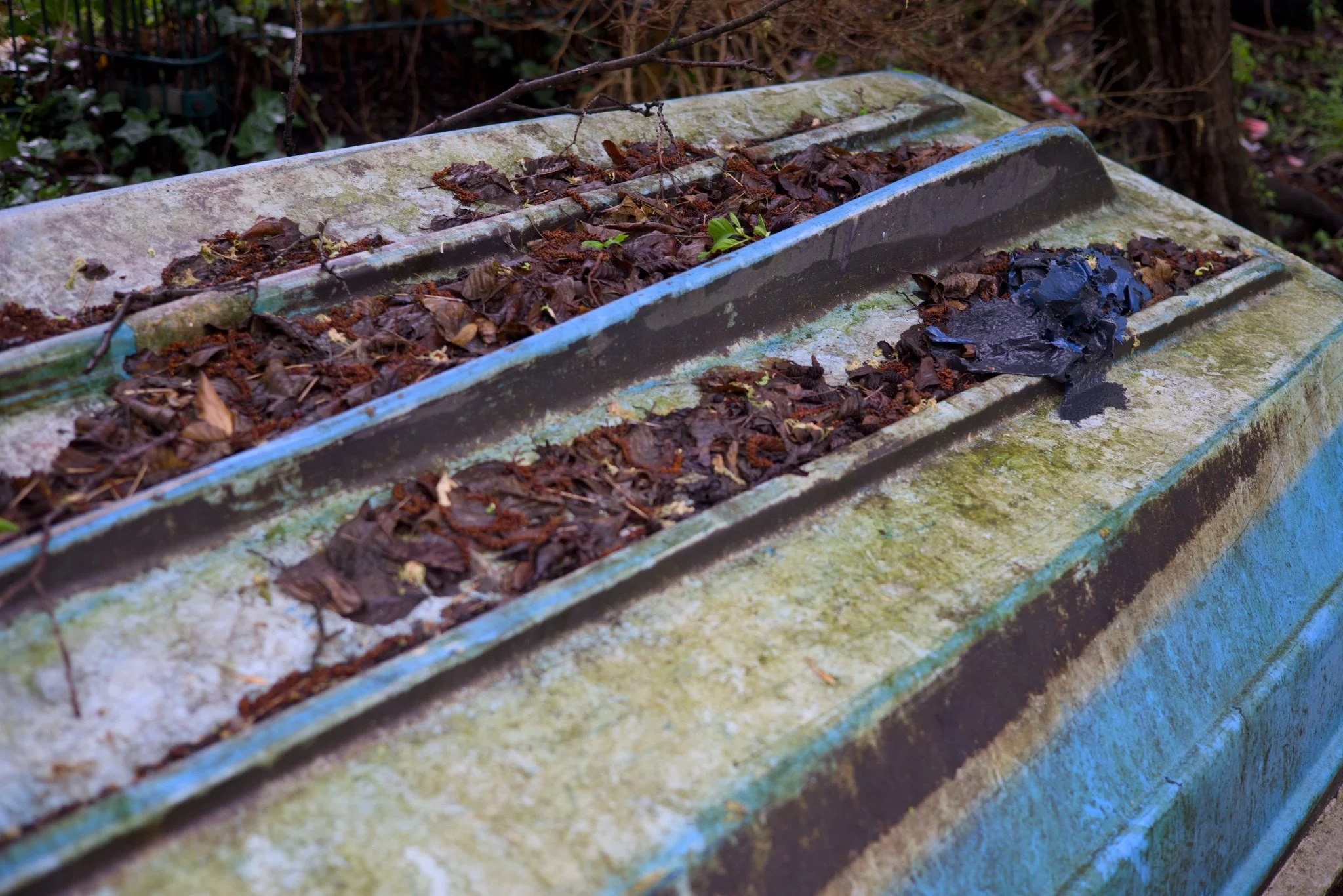 Abandoned Berlin Fischerpinte boathouse_X8A8371.jpg