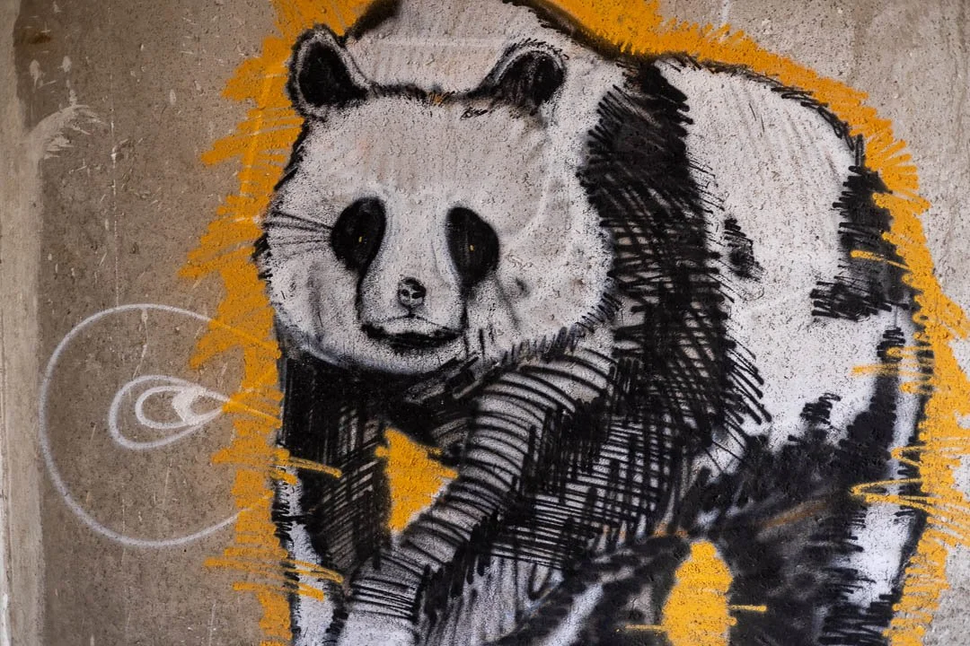 Hohenschoenhausen refugee homes Abandoned Berlin 2023-1971.jpg