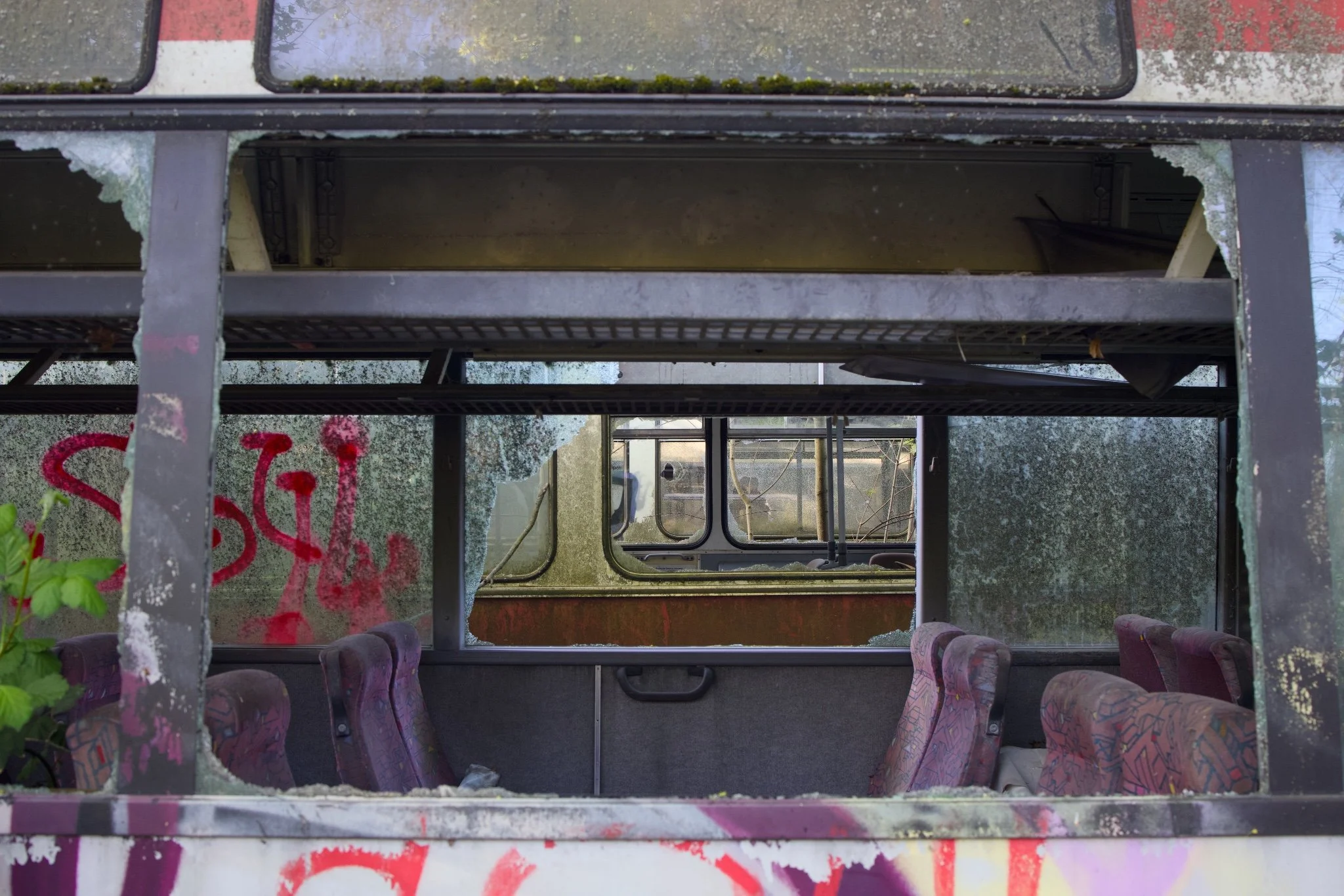 Queen Curry Graveyard Bus Abandoned Berlin_X8A8636.jpg