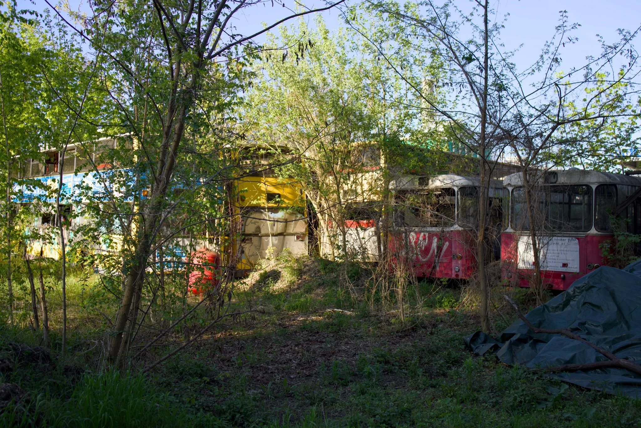Queen Curry Graveyard Bus Abandoned Berlin_X8A8750.jpg