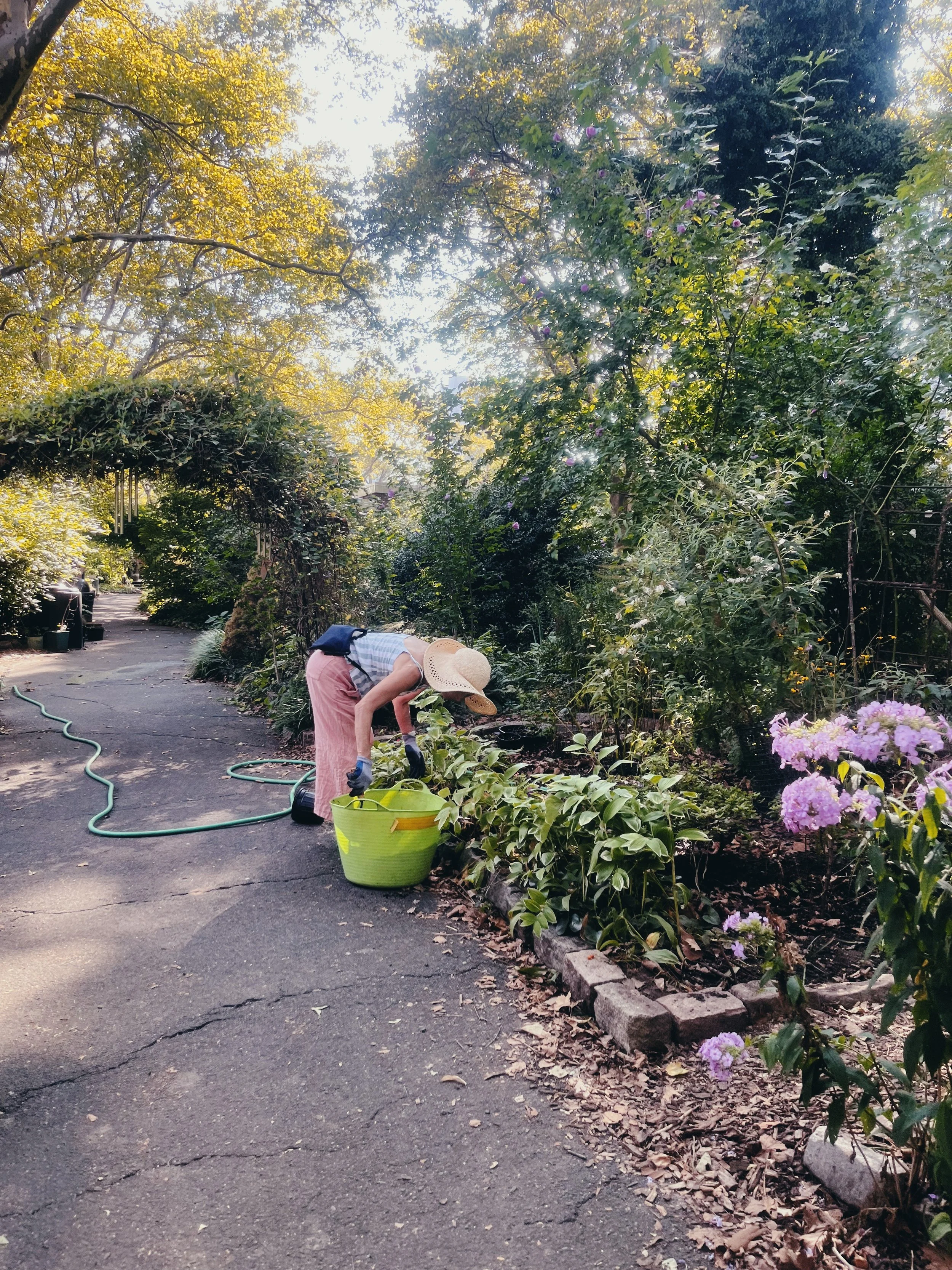 Roosevelt Garden LES 