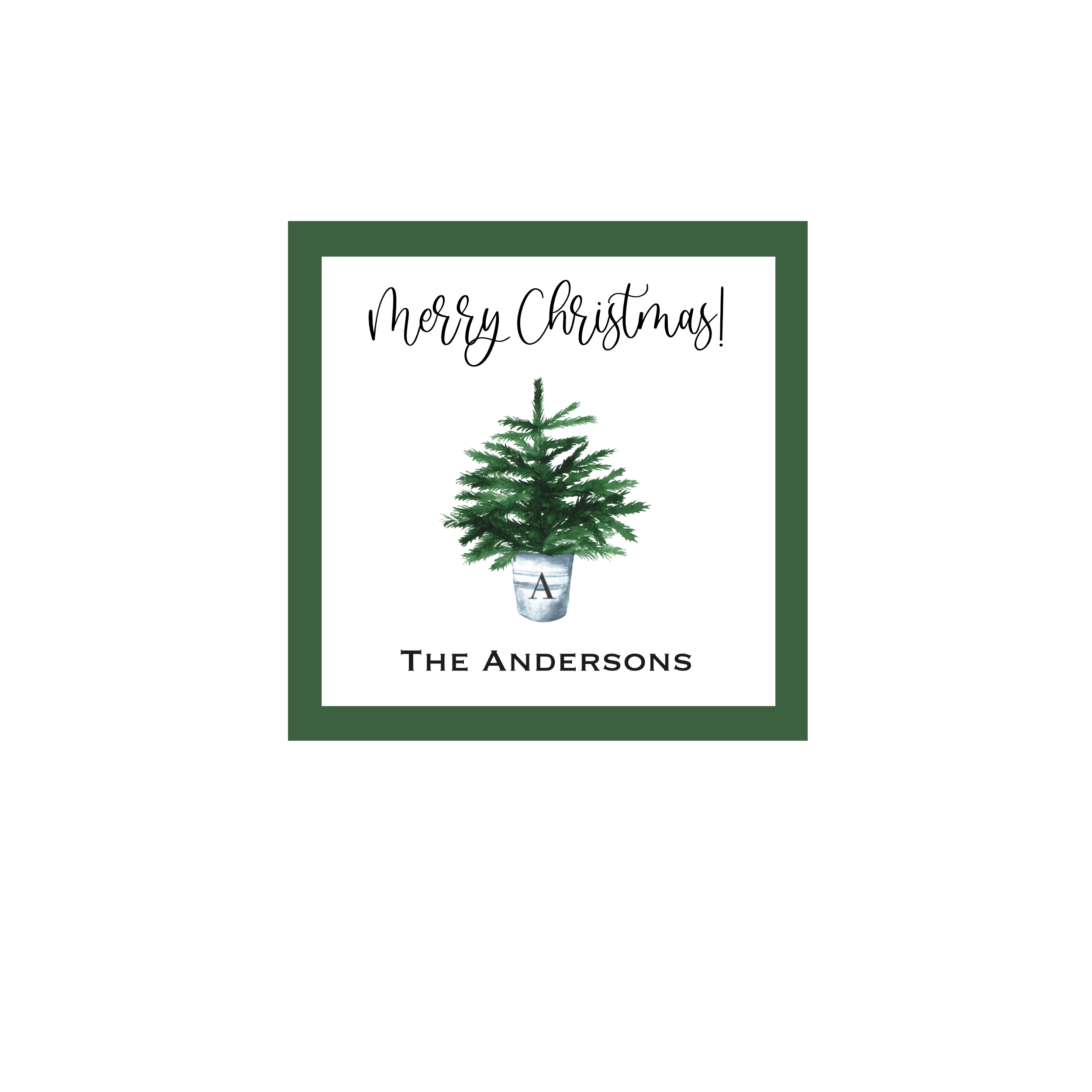 7TreeInPail_NEWSIZE.png