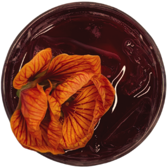 Glass of dark purple juice with an orange flower floating on top.