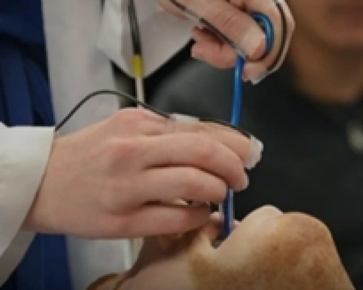 Technology Enabled Clinical Improvement Center (TECIC)