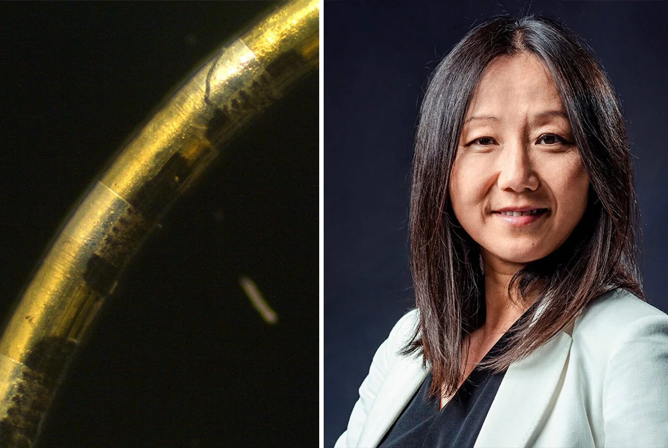 Zhenan Bao: the potential of Neurostring