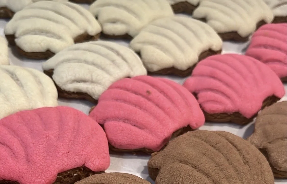 concha marranitos.jpg