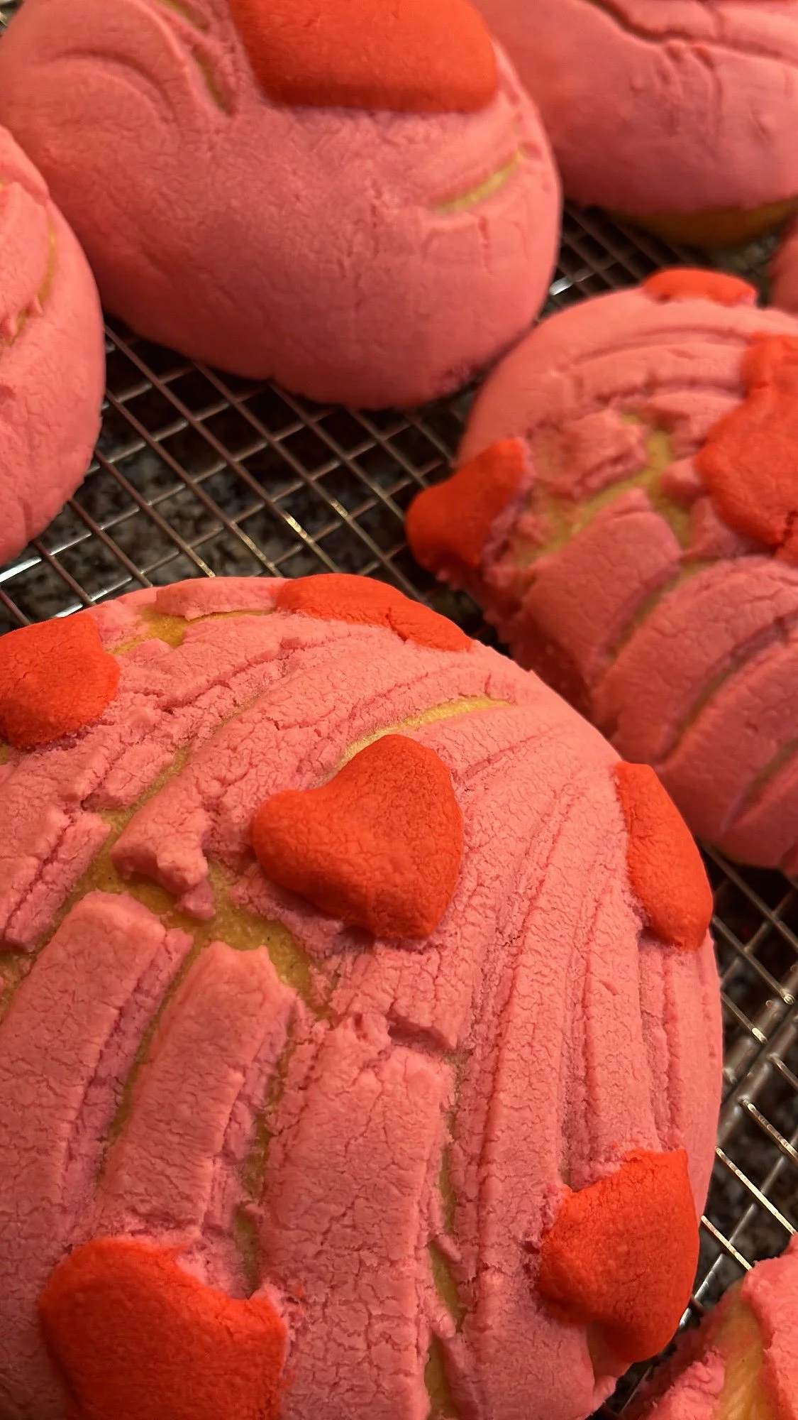 valentine concha.jpg