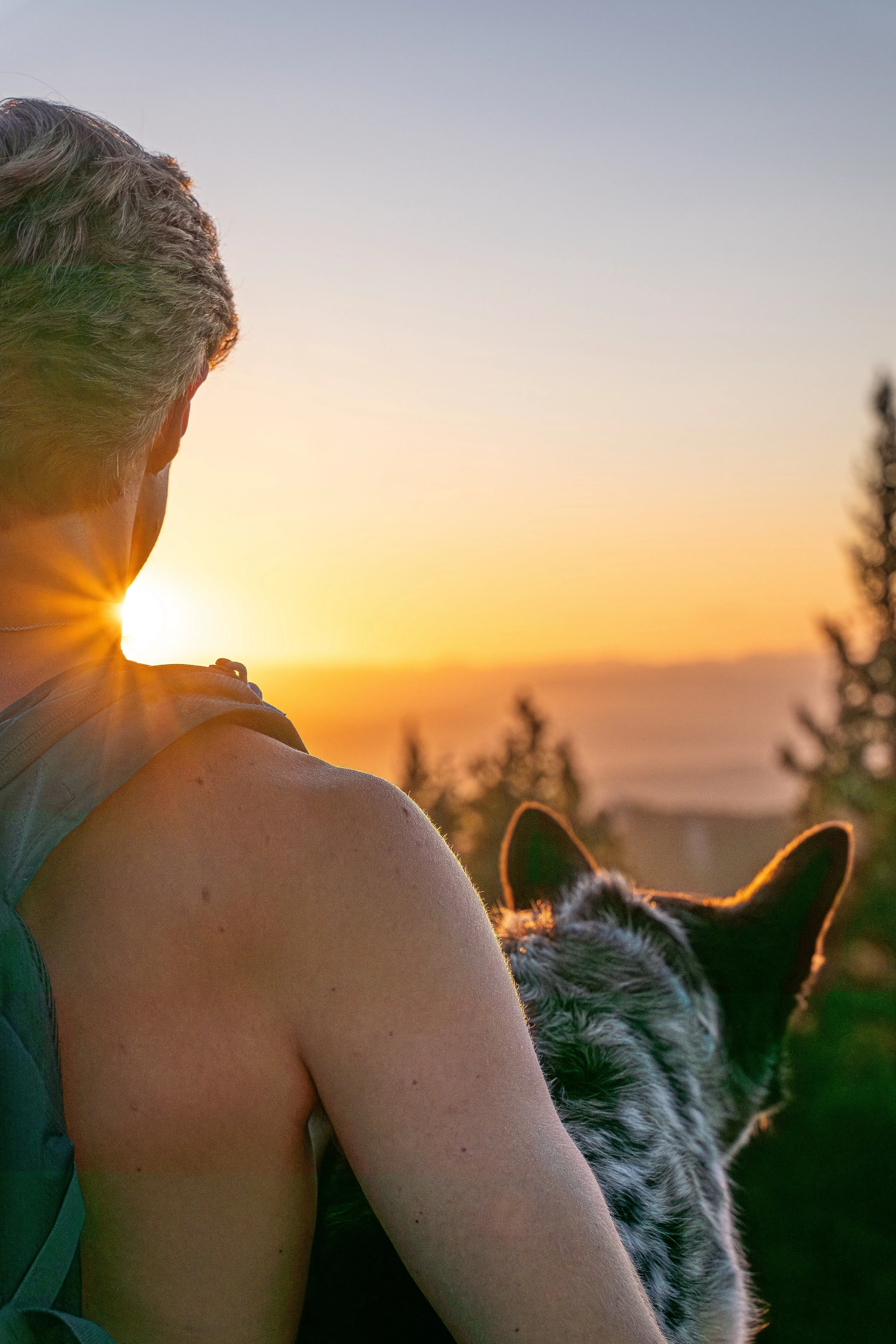 PANA0027-Enhanced-NR ep.jpg