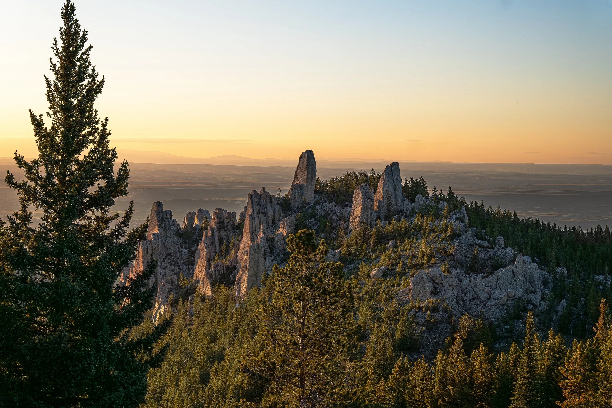 PANA0002-Enhanced-NR ep.jpg