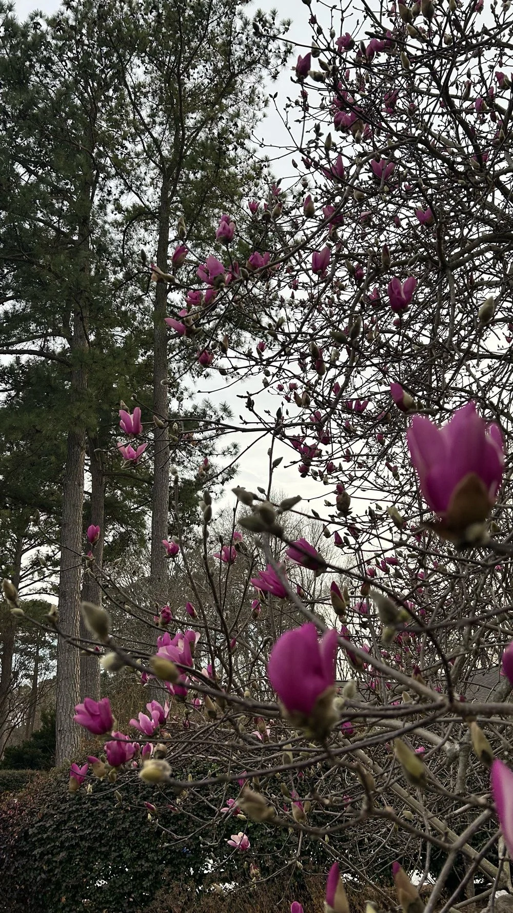 Why Should Big Businesses Be the Only Ones With This Advantage?